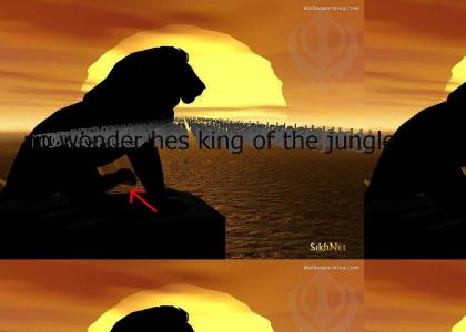 The Lion- King of the Jungle