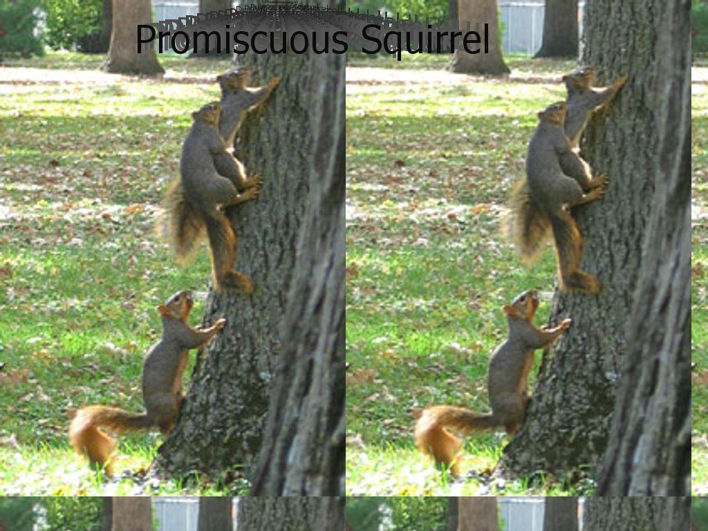 PromiscuousSquirrel