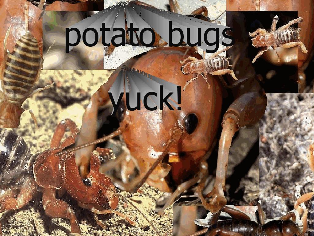 potatobugsyuck
