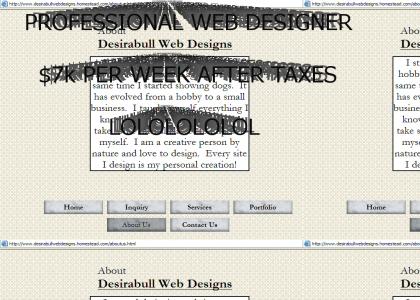 Professional Web Designer