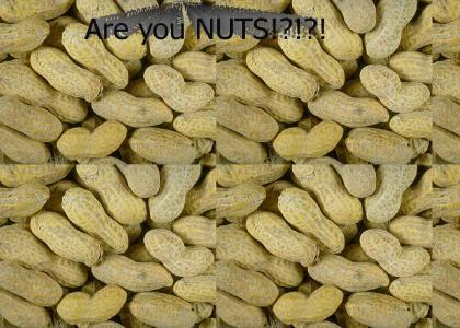 Are you nuts!?