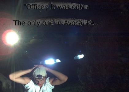 COPS in Avoca