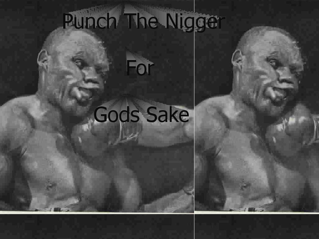 Punchtheniggers