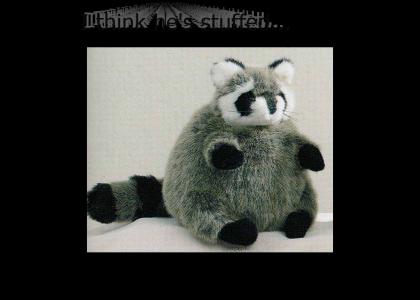 Chubby Raccoon