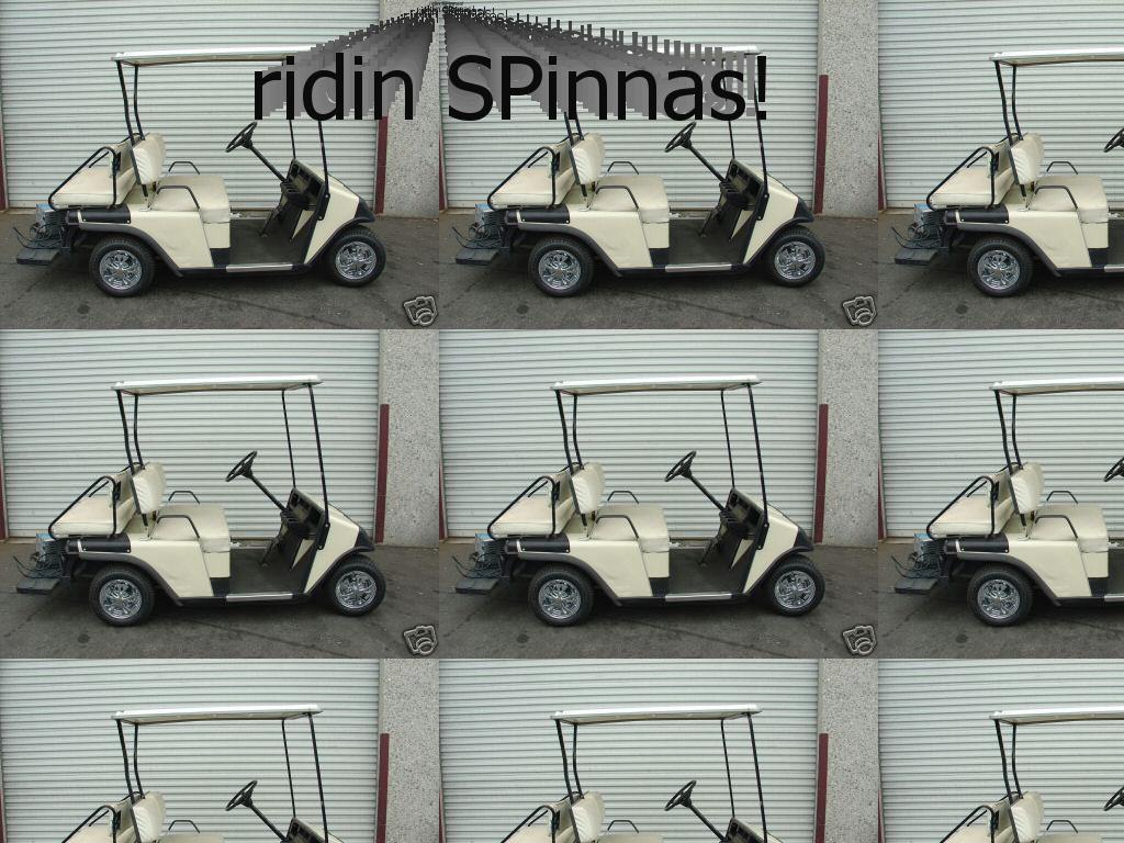 spinnas