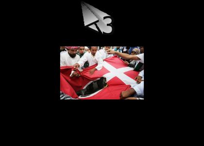 Muslims <3 Denmark