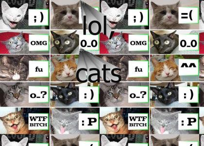 If cats had emoticons