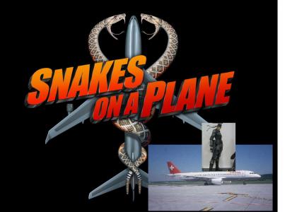 Snake's on a Plane!