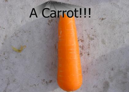 A Carrot