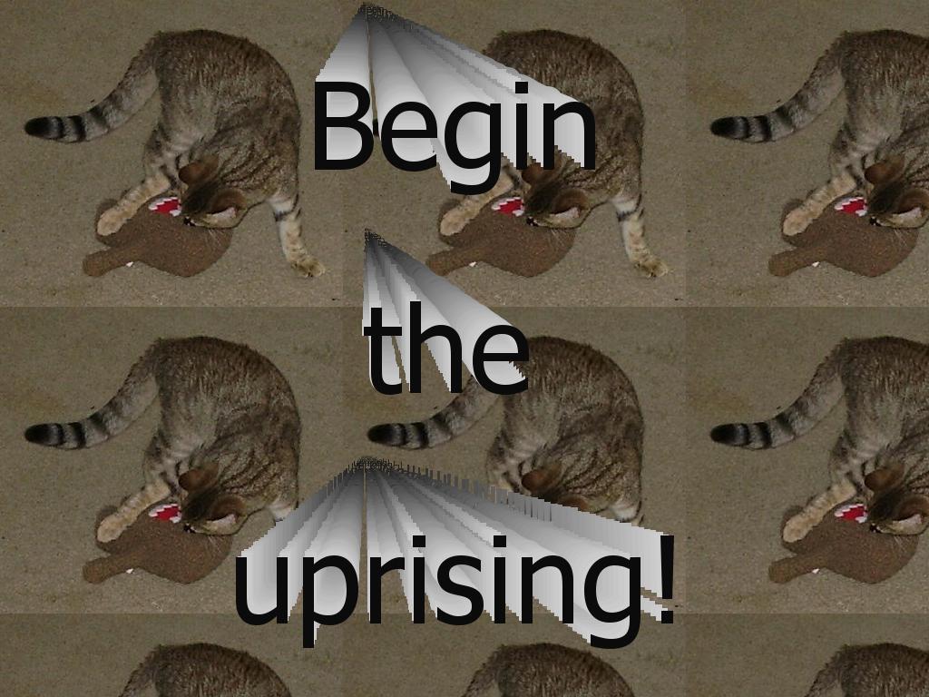 beginuprising