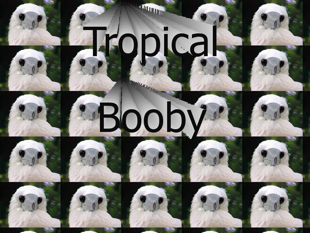 hotbooby