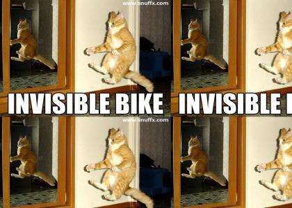 Cat rides invisible bike