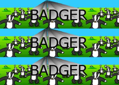 BADGERS