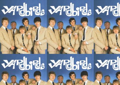 Cosby joins the Yardbirds