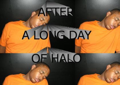 Long day of Halo