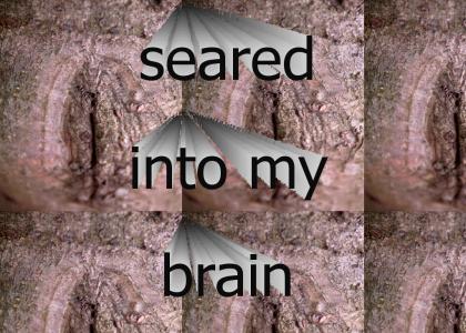 Seared into brain