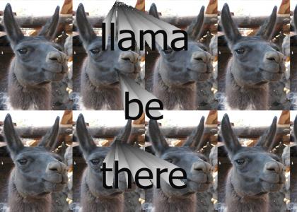 Llama Be There