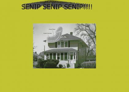 SENIP SENIP SENIP!!!!!