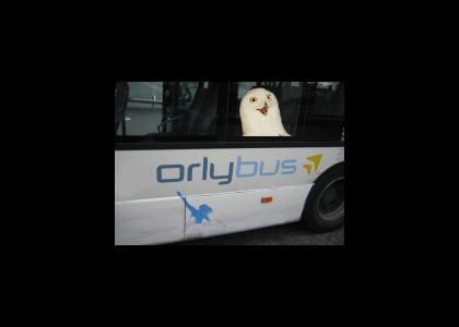O RLY YA RLY Bus