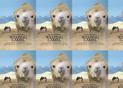 Story of the Weeping Camel