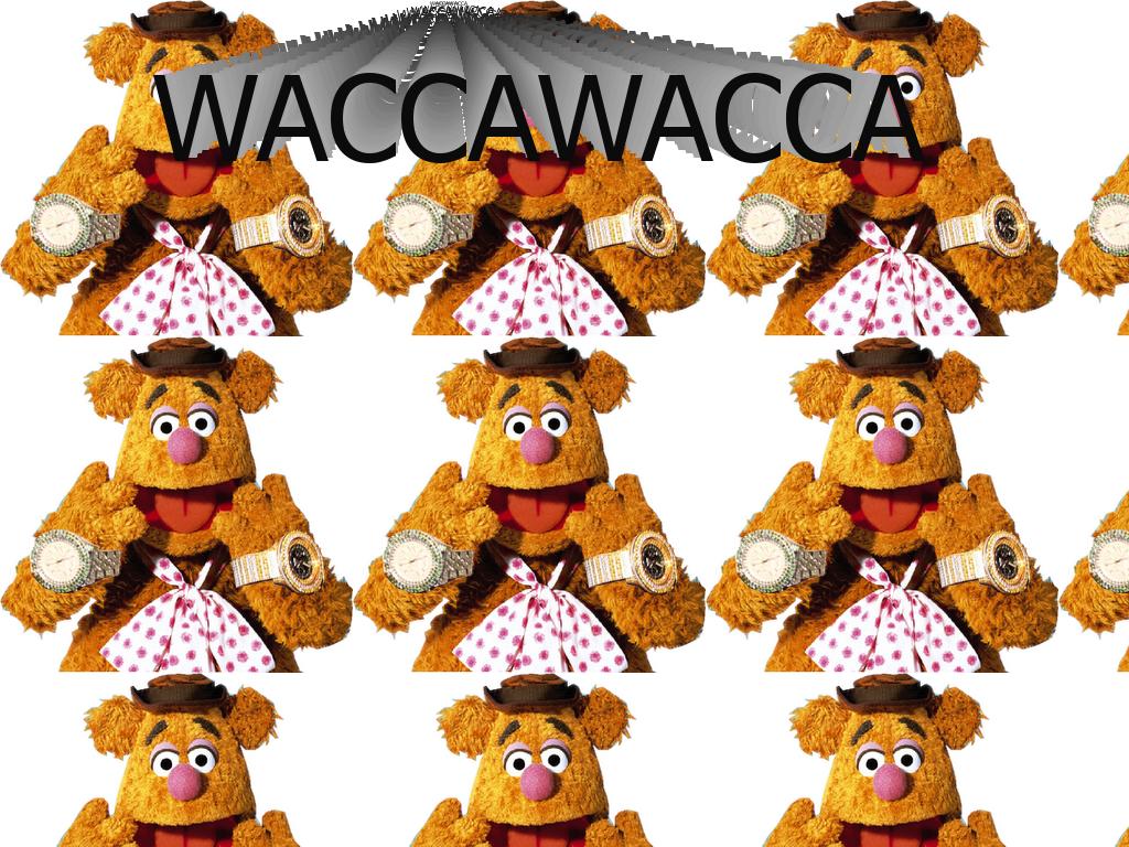 waccawacca