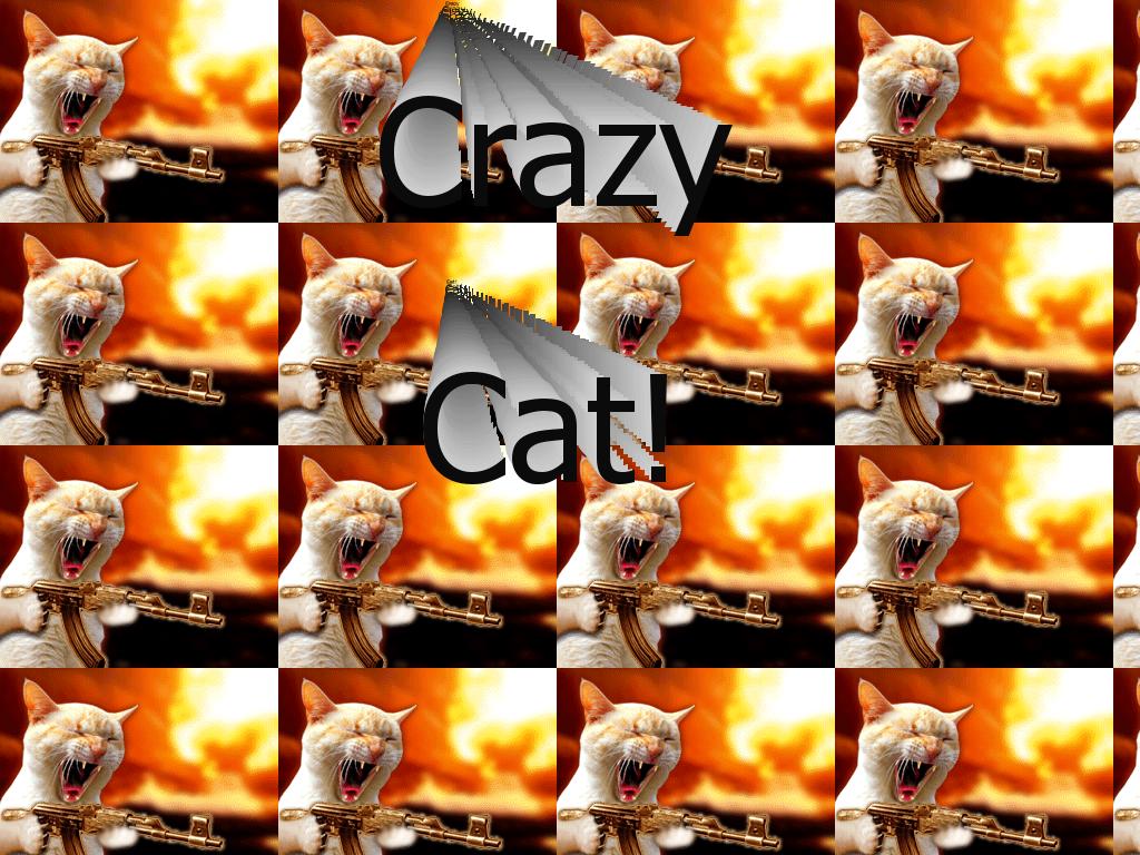 CrazyCat1