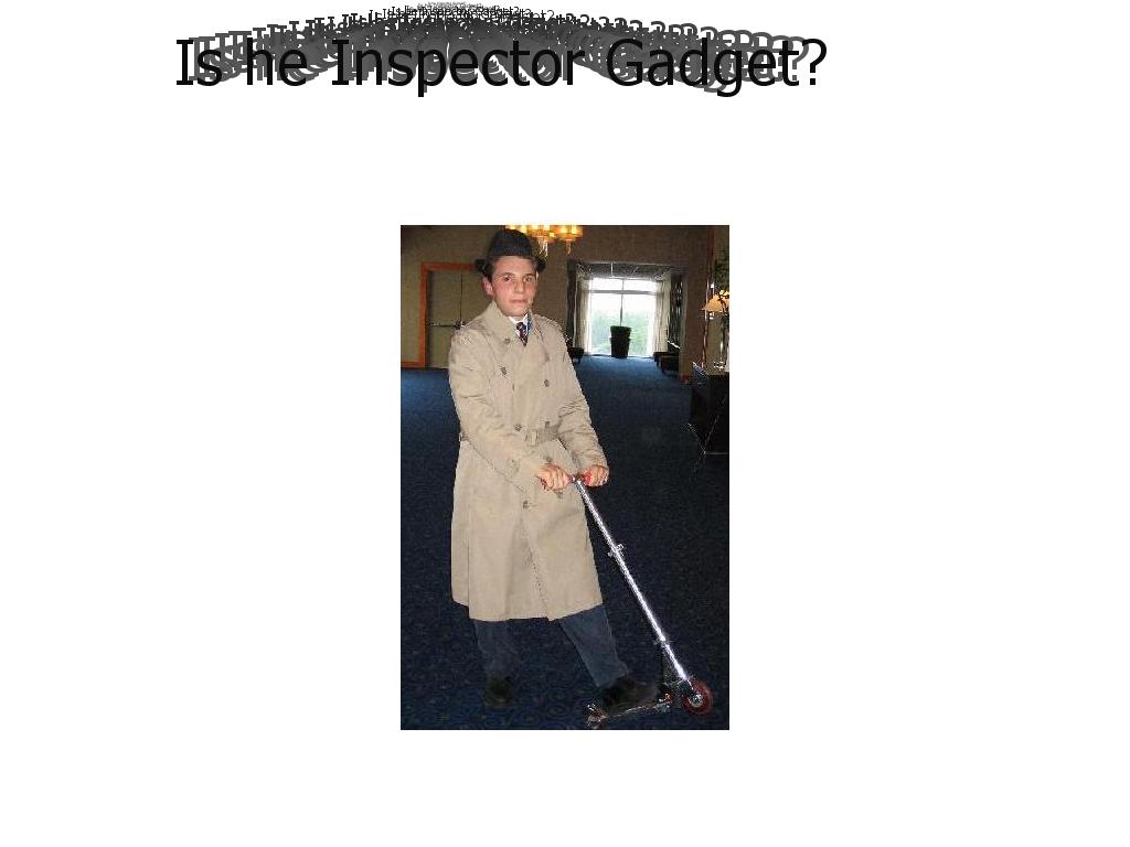 inspects