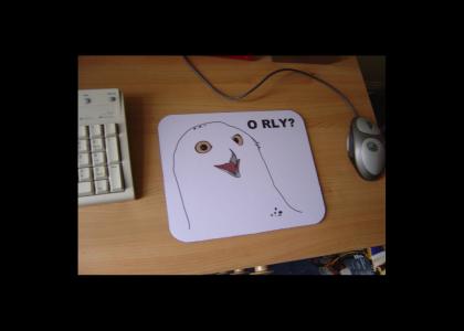 O RLY? mouse pad