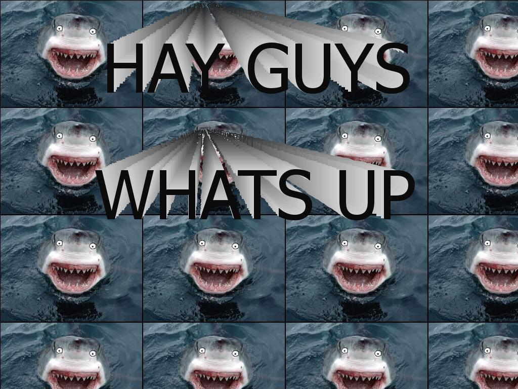 sharksays