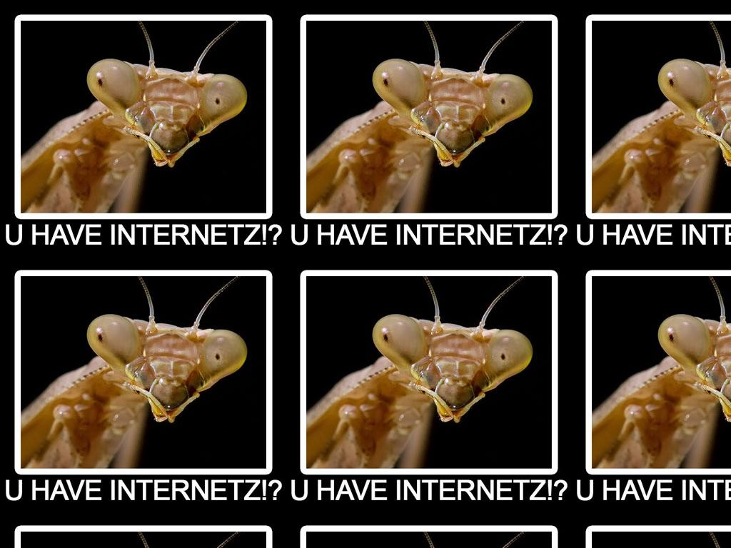 youhaveinternetz