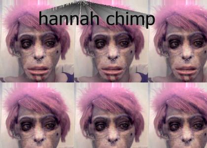 zombie chimp