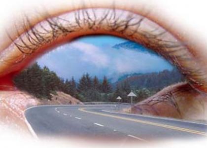 Eyeball roadway stares into your soul