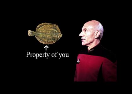 picard stares into your sole