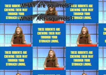 WHAT ARE SQUIRRELS?!