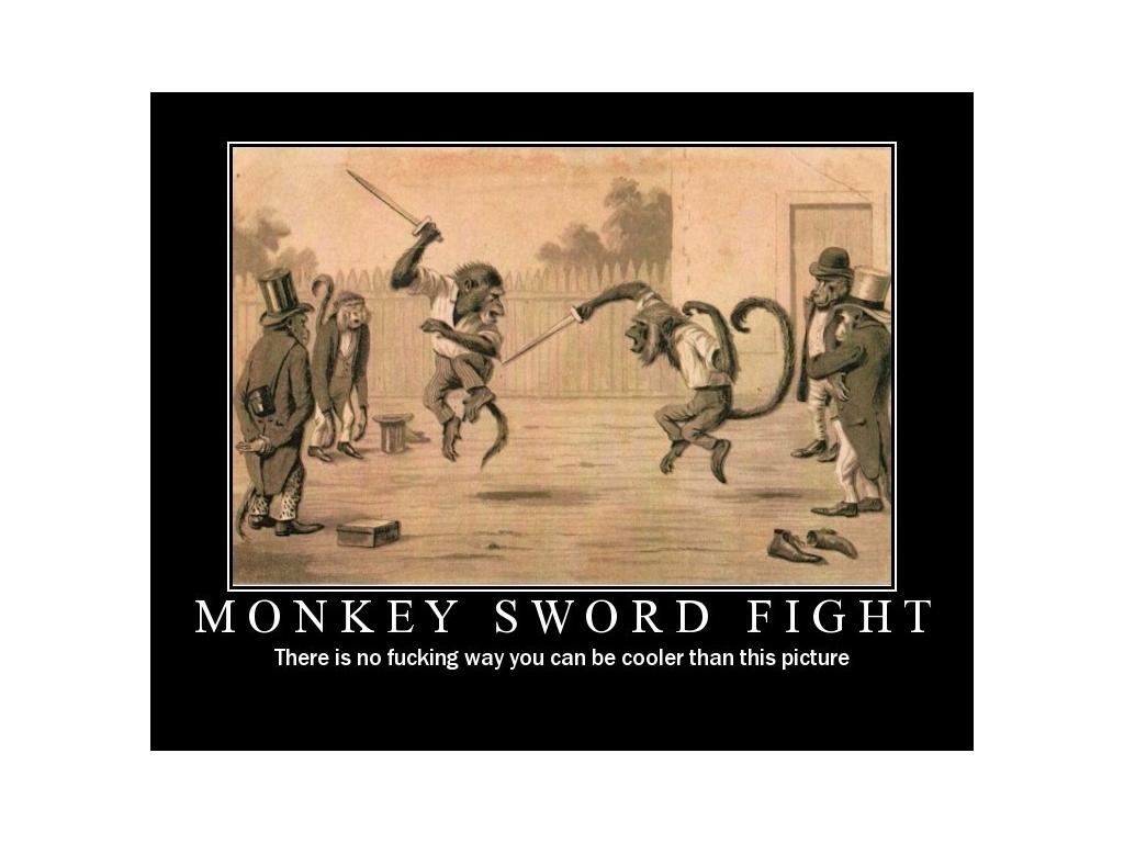 epicmonkeyfight
