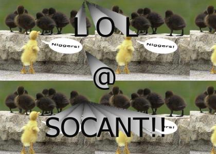 Socant, does the N word offend you?