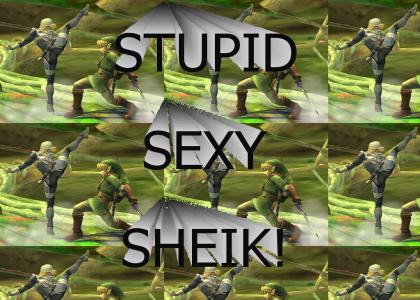 Stupid Sexy Sheik!