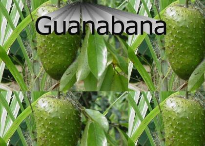Guanabana!