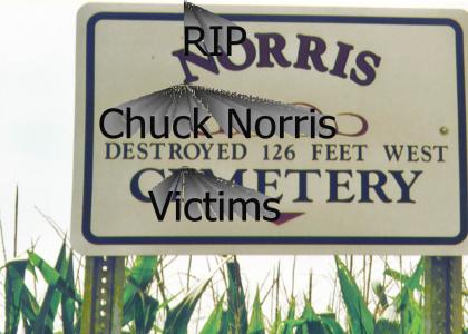 RIP Chuck Norris Victims
