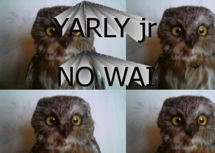 YA RLY owl jr! ORLY