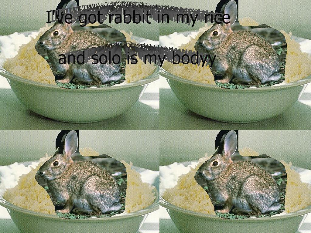 rabbitismyrice