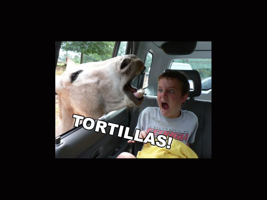 tortillasss