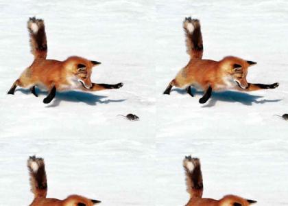 Epic Fox Maneuver
