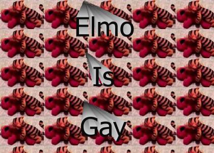 Elmo is gay.