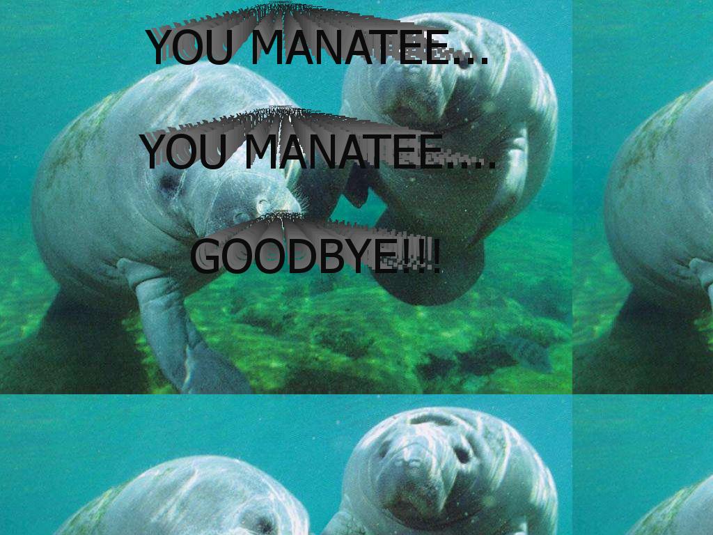 youmanatee