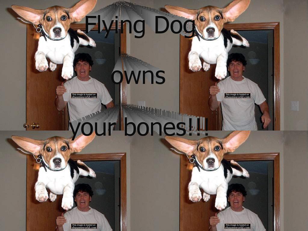 flydog