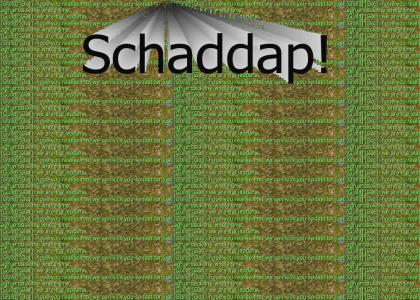 schaddap