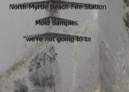 Mold Covered Station