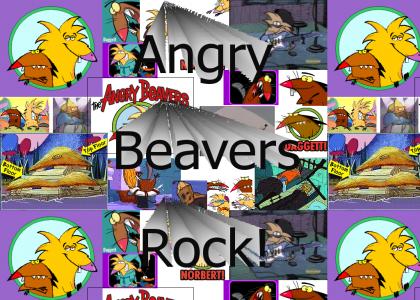 Angry Beavers Rock!