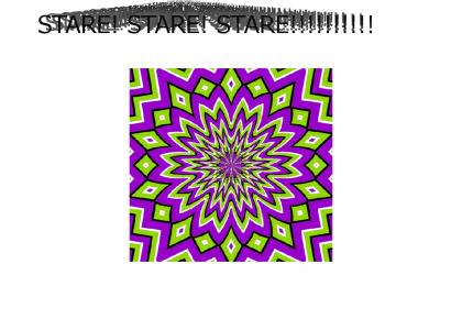 stare at the screen